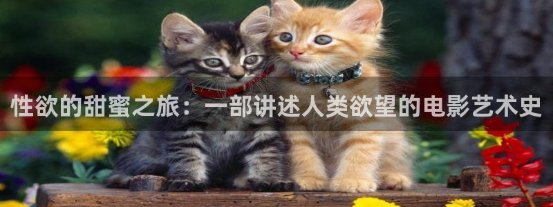 www.桔子視頻：性欲的甜蜜之旅：一部講述人類欲望的電影藝術(shù)史