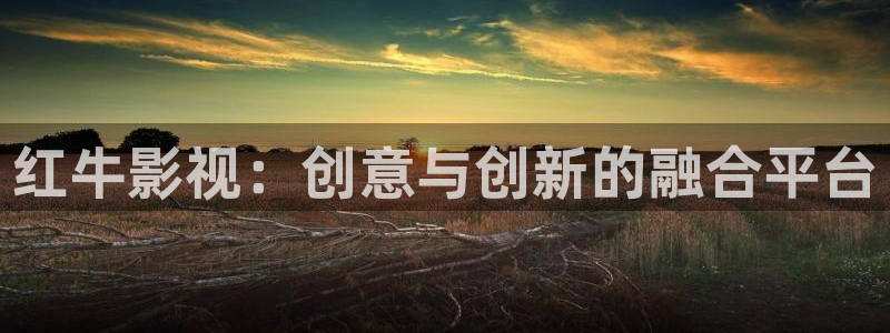 桔子視頻在線免費觀看：紅牛影視：創意與創新的融合平臺
